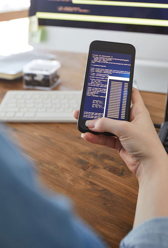 Veotronic mobile app development team